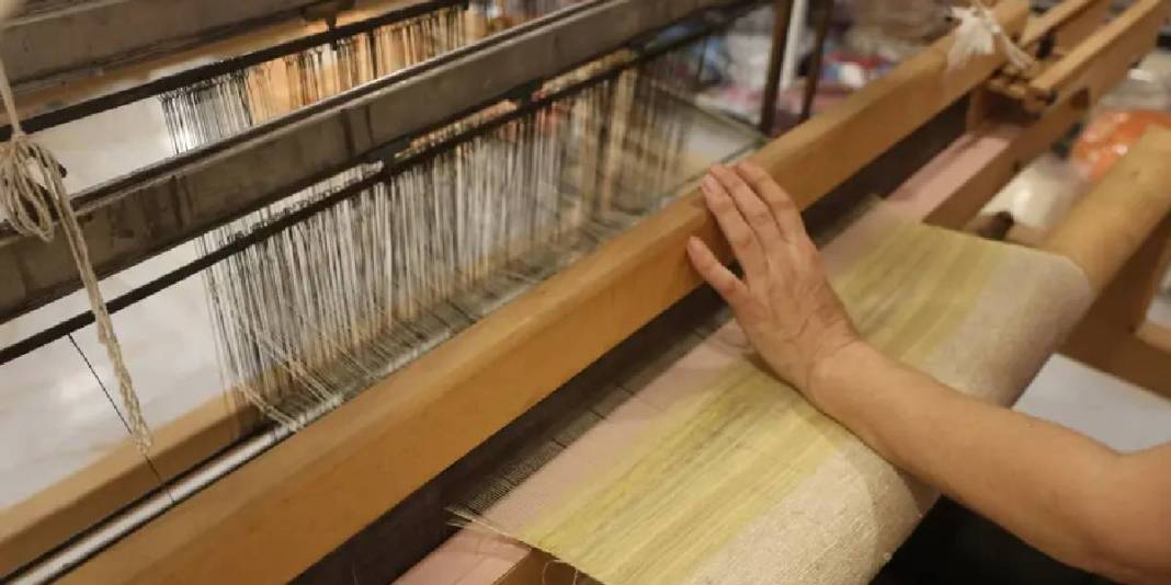 Depremde kaybetti, bir avuç yumurtayla devam etti! Hepsine gözü gibi bakıyor: Bir tür onun sayesinde devam ediyor 4